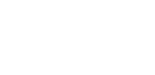 logo Liguria Palificazioni
